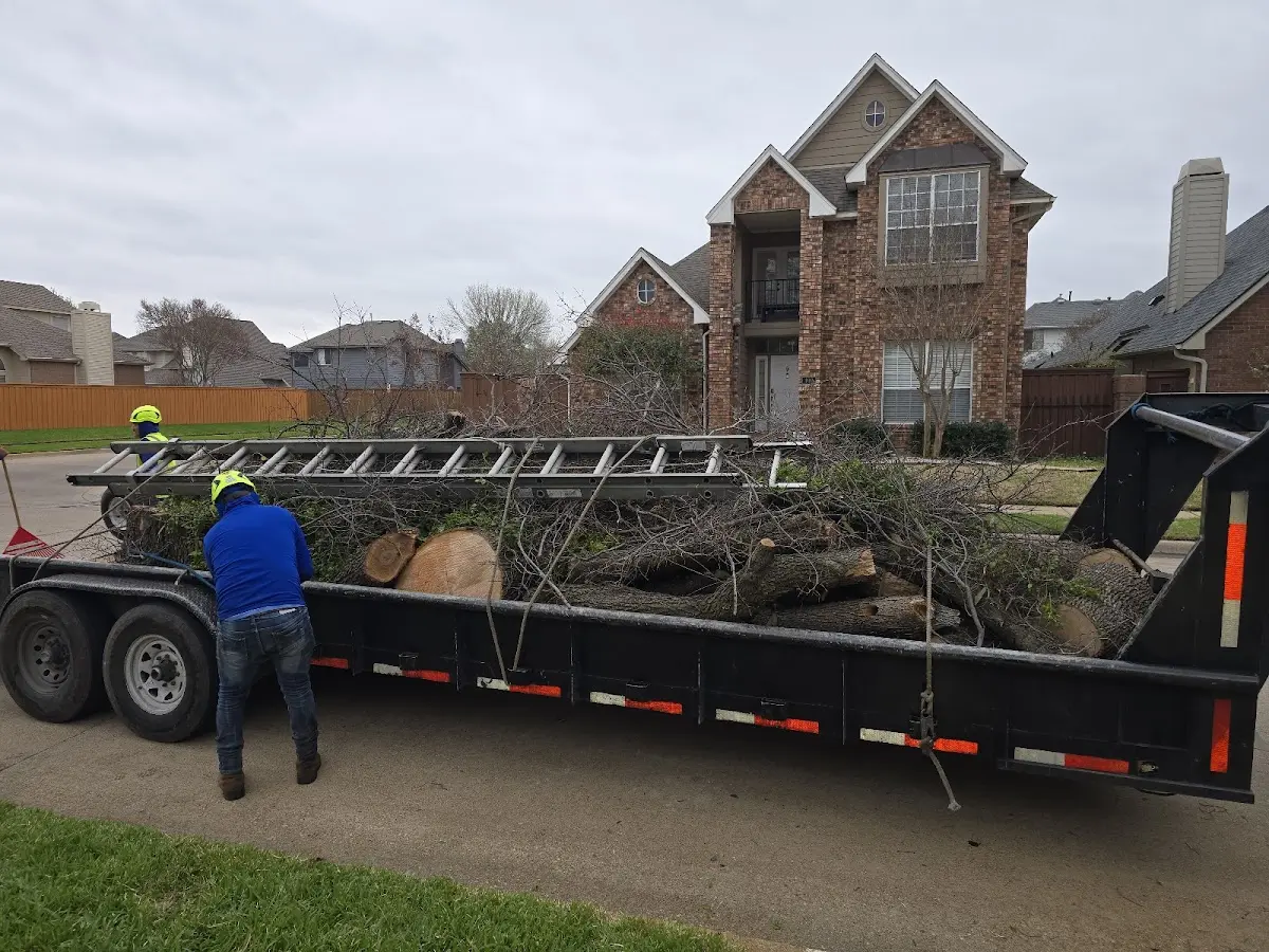 Expert Lot Clearing with proper safety equipment in Victor